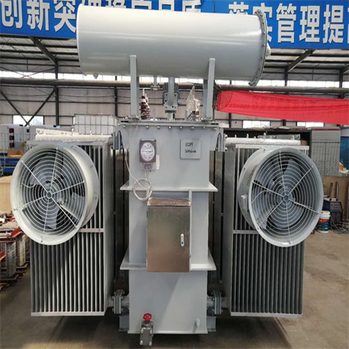 桓仁S20-8000KVA变压器